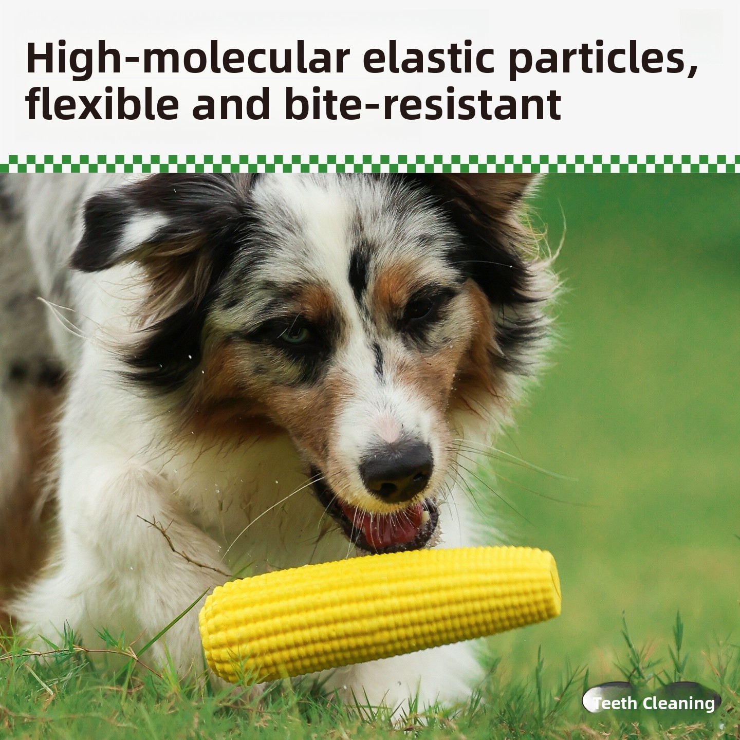 QZee Durable ETPU Corn Dog Toy - Corn Dog Stick avis et prix