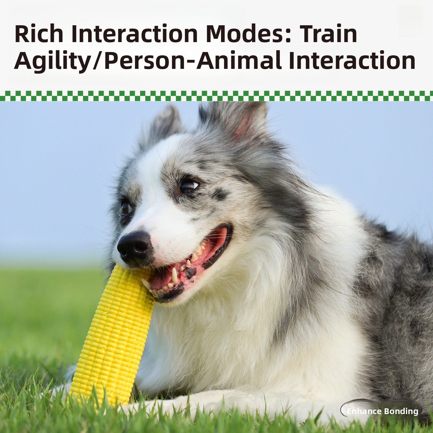 QZee Durable ETPU Corn Dog Toy - Corn Dog Stick avis et prix