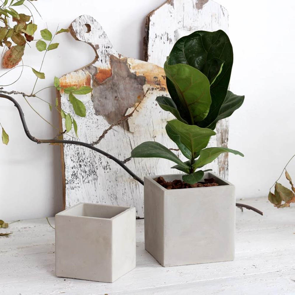Large Square Flowerpot Silicon - Potsticker Mold avis et prix