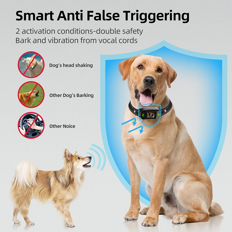 Color Screen Waterproof Dog Ba - Hot Dog Press avis et prix
