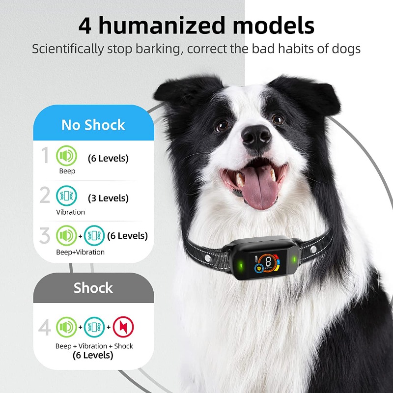 Color Screen Waterproof Dog Ba - Hot Dog Press avis et prix