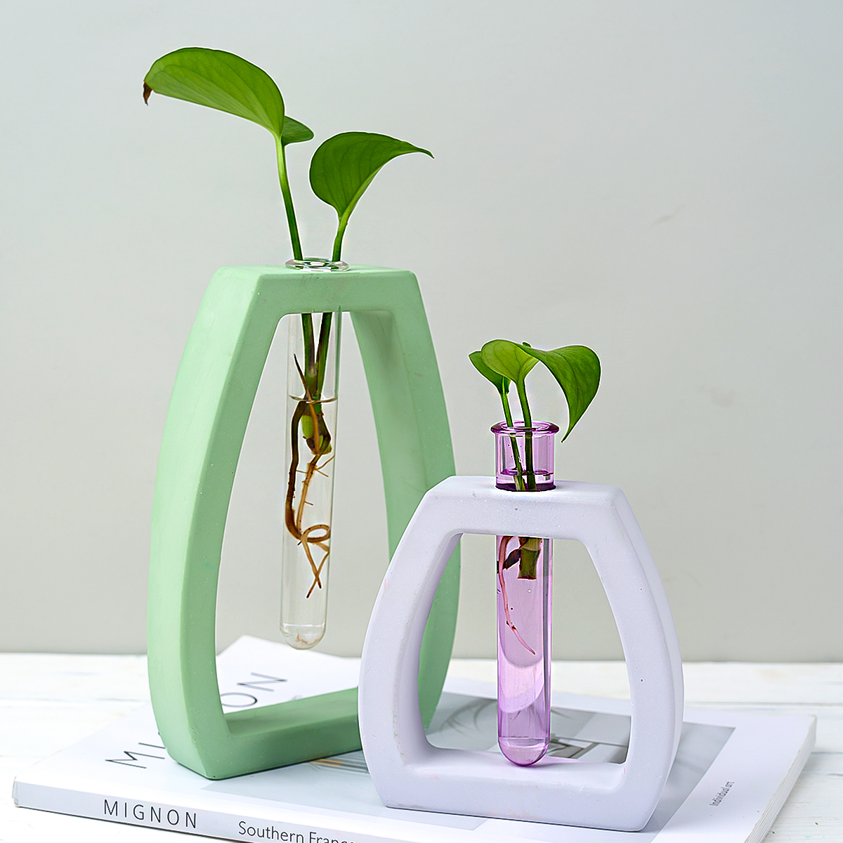 Hydroponic Test Tube Vase Sili - Potsticker Mold avis et prix