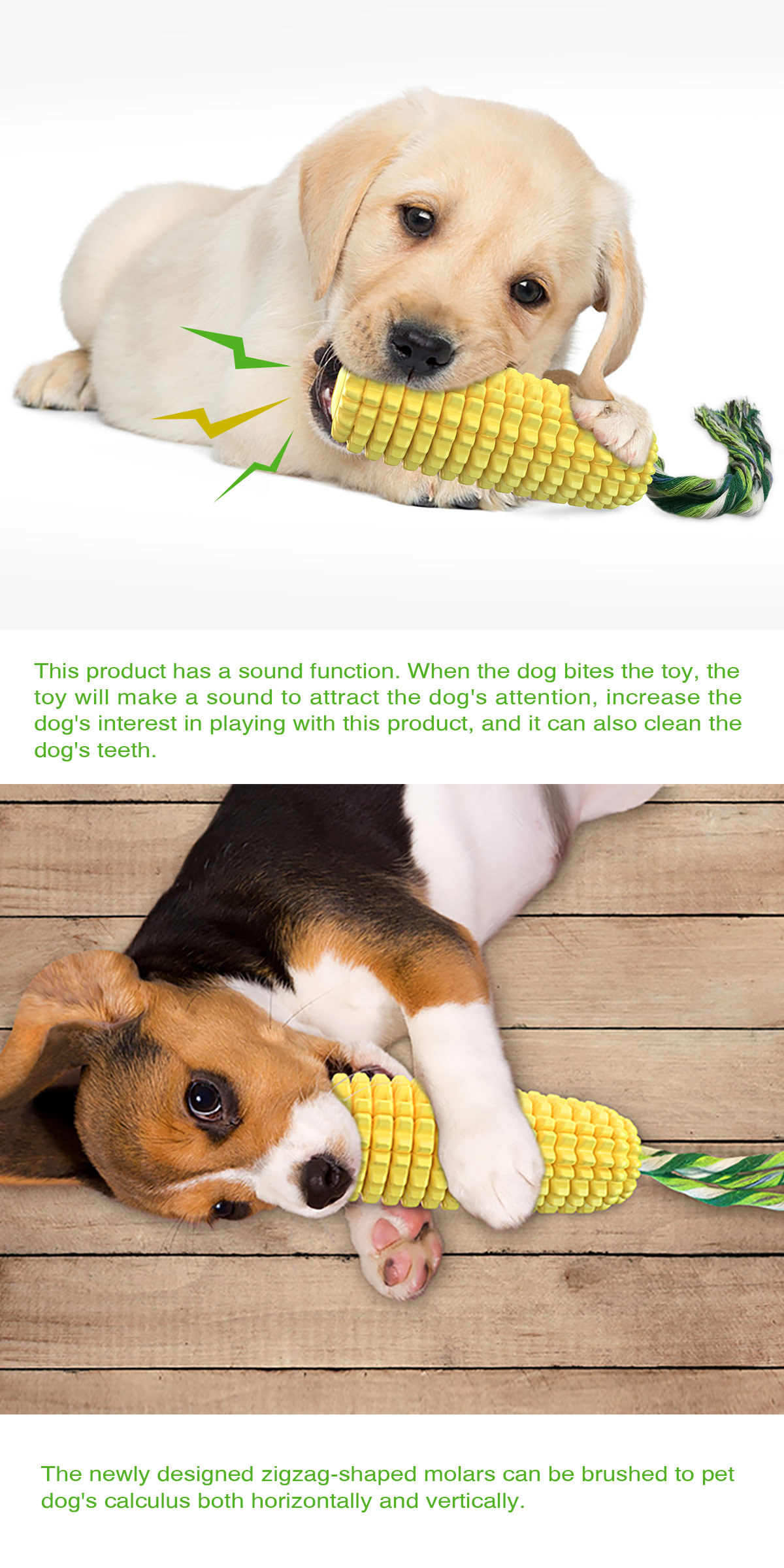 Hot Selling Large Size Corn Sh - Corn Dog Stick avis et prix