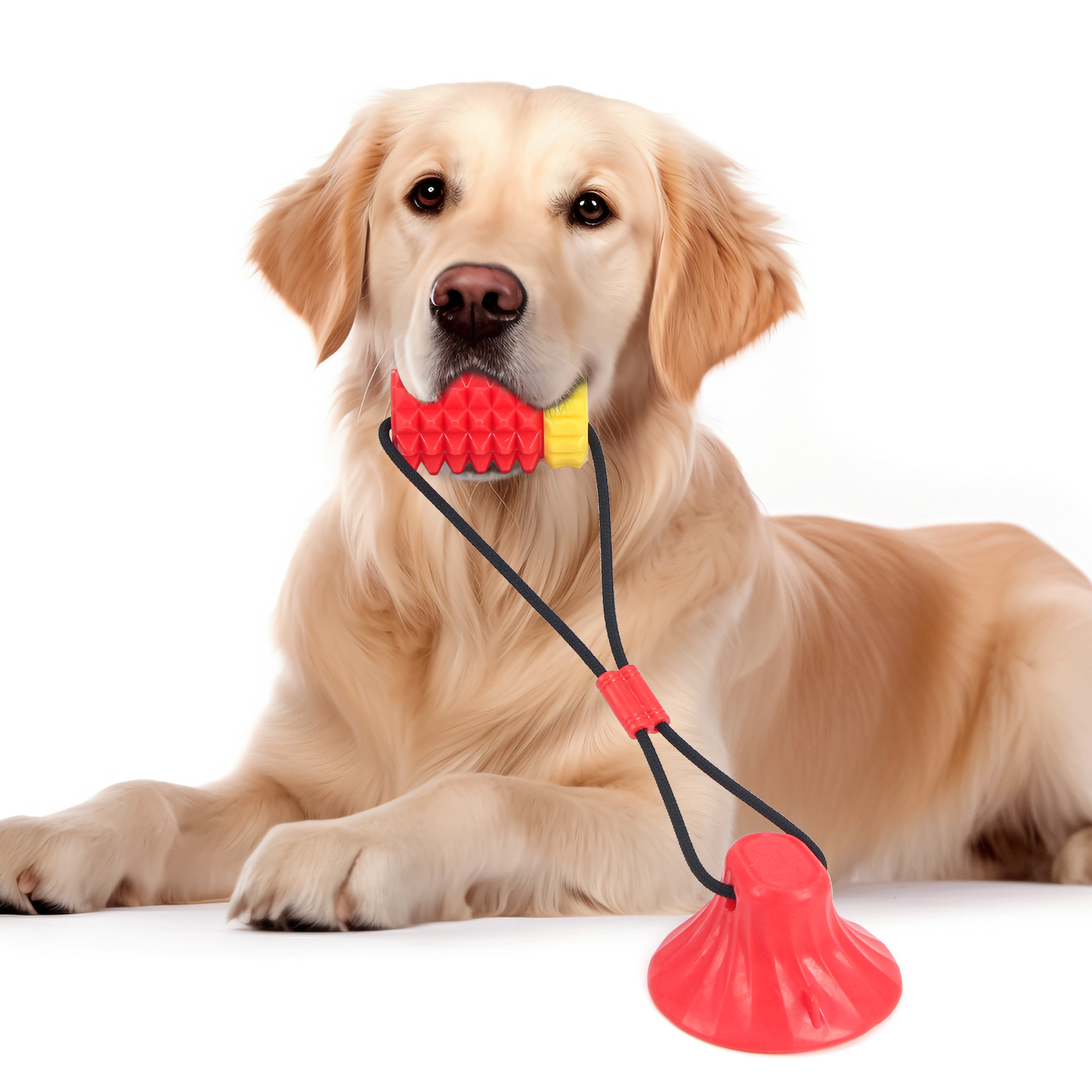 Simulated Corn Cob TPR Dog Toy - Corn Dog Stick avis et prix