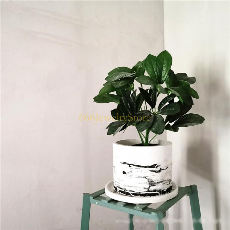F2TD Large Round Concrete Flow - Potsticker Mold avis et prix