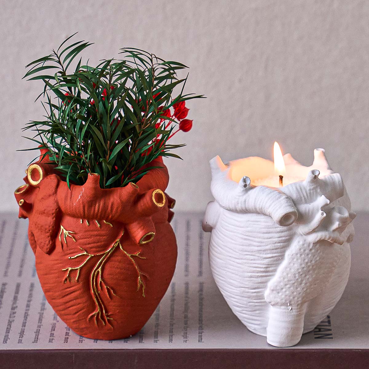 Simulation Heart Vase Silicone - Potsticker Mold avis et prix